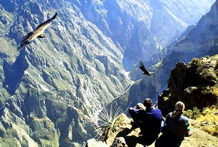 Joven se extravi en el Colca siguiendo la ruta de Ciro Castillo