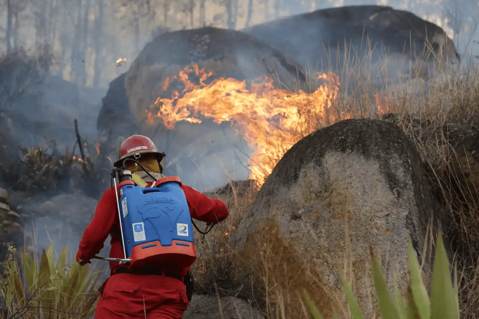 Incendios forestales arrasaron más de 3400 hectáreas en Huánuco