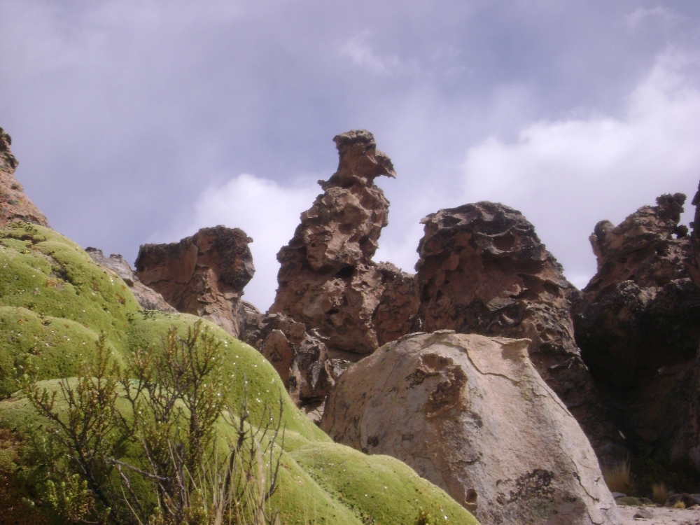 Salinas y Aguada Blanca