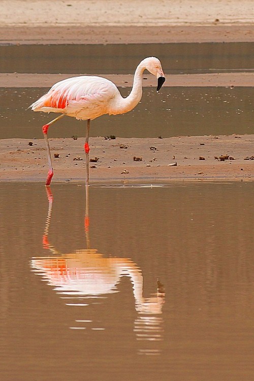 Salinas y Aguada Blanca