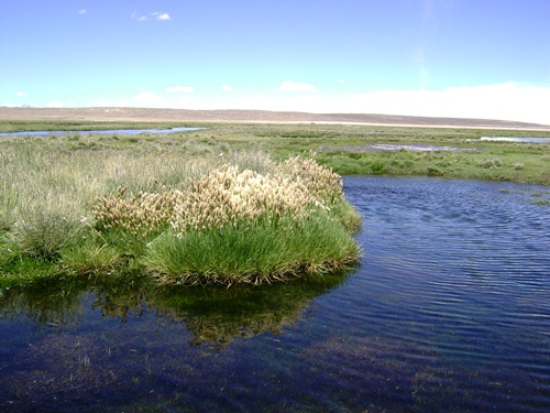 Salinas y aguada blanca