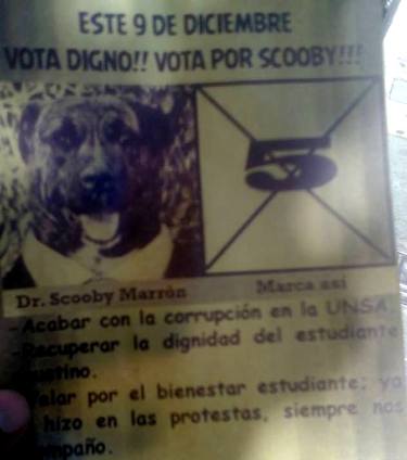 perro