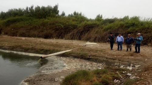 Más de 200 hectáreas de cultivo se estropean por fuga de aguas servidas