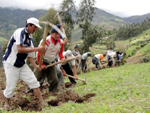 Agricultores piden declarar el agro en emergencia en Arequipa