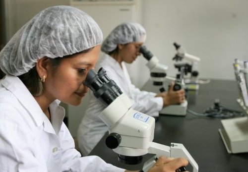 Perú está en último lugar de países que invierten en ciencia y tecnología