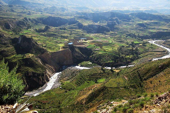 UNESCO reconoció al Geoparque Cañón del Colca y Valle de los Volcanes de Andagua