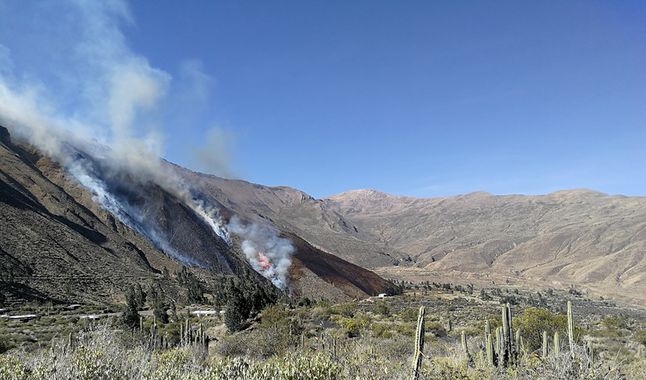 ACT. Incendio forestal en Andagua, valle de los volcanes, quemó 2 mil hectáreas de pastizal