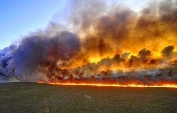 EMERGENCIA: La Amazonía se incendia