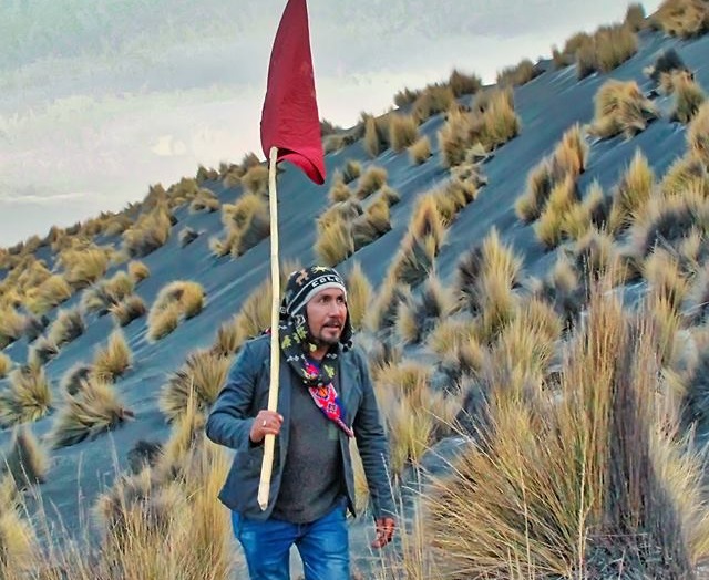 Arequipa. Elmer Cáceres LLica subió al Misti con 7 llamas para realizar pago a la tierra