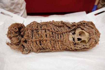 Museo estadounidense devuelve primera momia infante de cultura Collagua