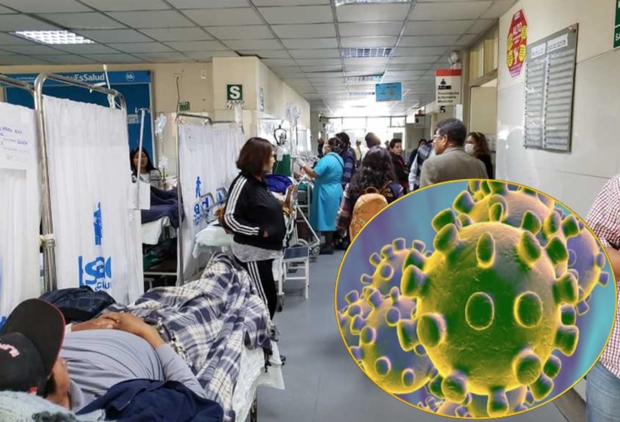 Arequipa: aumentan a 84 los casos de coronavirus, pero pruebas escasean
