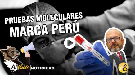 Pruebas moleculares peruanas en un mes |  Al vuelo, noticias desde Arequipa