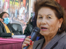 Shirley Alcócer y Lilia Pauca, arequipa.