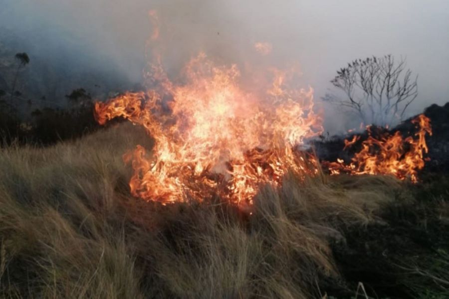 Cusco incendio