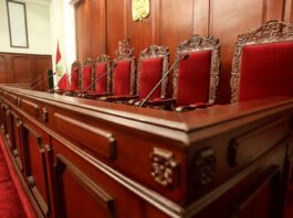 Tribunal Constitucional y la norma