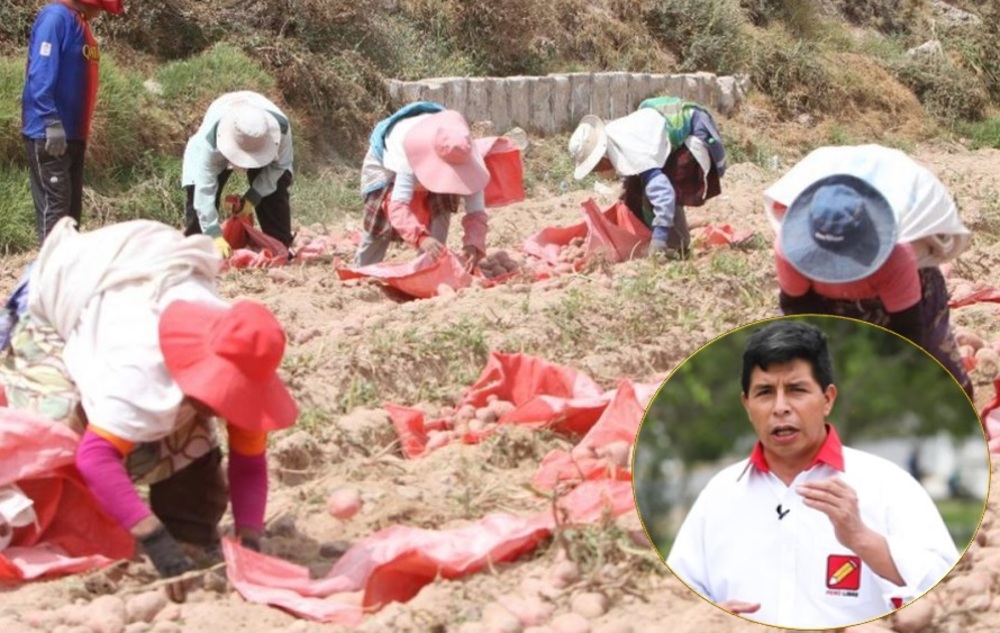 Agricultores rechazan propuesta de Pedro Castillo, en Arequipa.