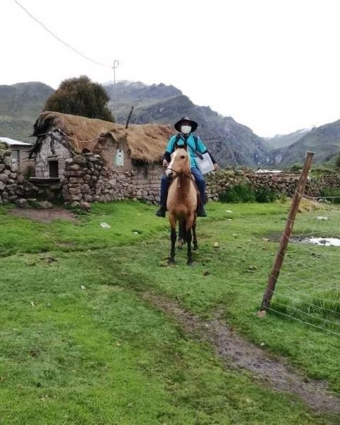 Arequipa