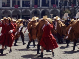 arequipa bicentenario danza