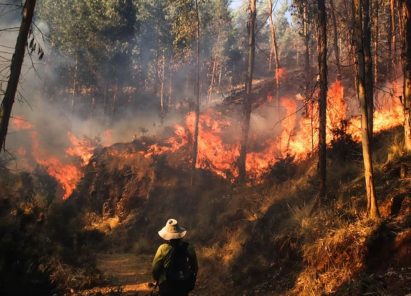 Buscan construir plan de prevención eficaz contra incendios forestales
