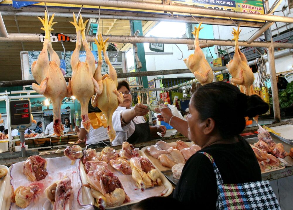 Arequipa: proyectan descenso del precio del pollo en los próximos meses