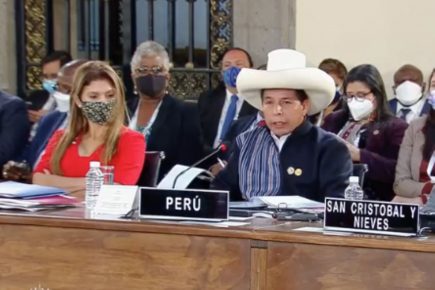 Pedro Castillo da su primer discurso ante la OEA: “No somos comunistas” (VIDEO)