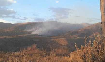 Arequipa: 200 hectáreas de bosque se incendiaron en Chiguata