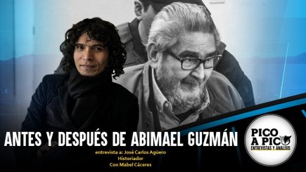 Pico a Pico: La violencia en el Perú y la muerte de Abimael Guzmán