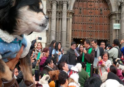 Arequipa: templo de San Francisco bendijo mascotas este fin de semana