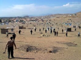 Adjudicaciones de terrenos en Arequipa involucran a Los Hijos del Cóndor