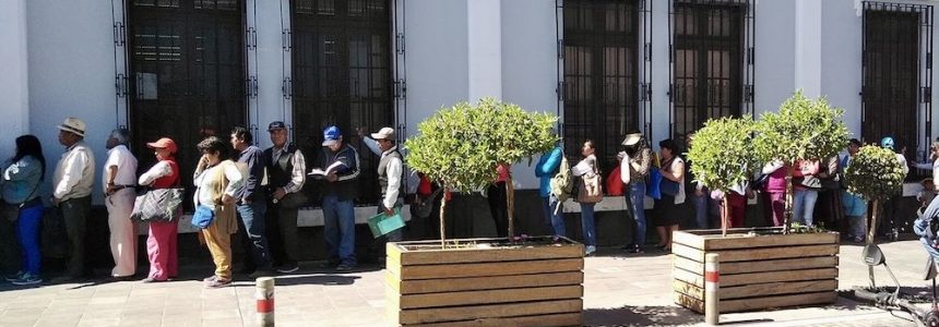 seal arequipa colas