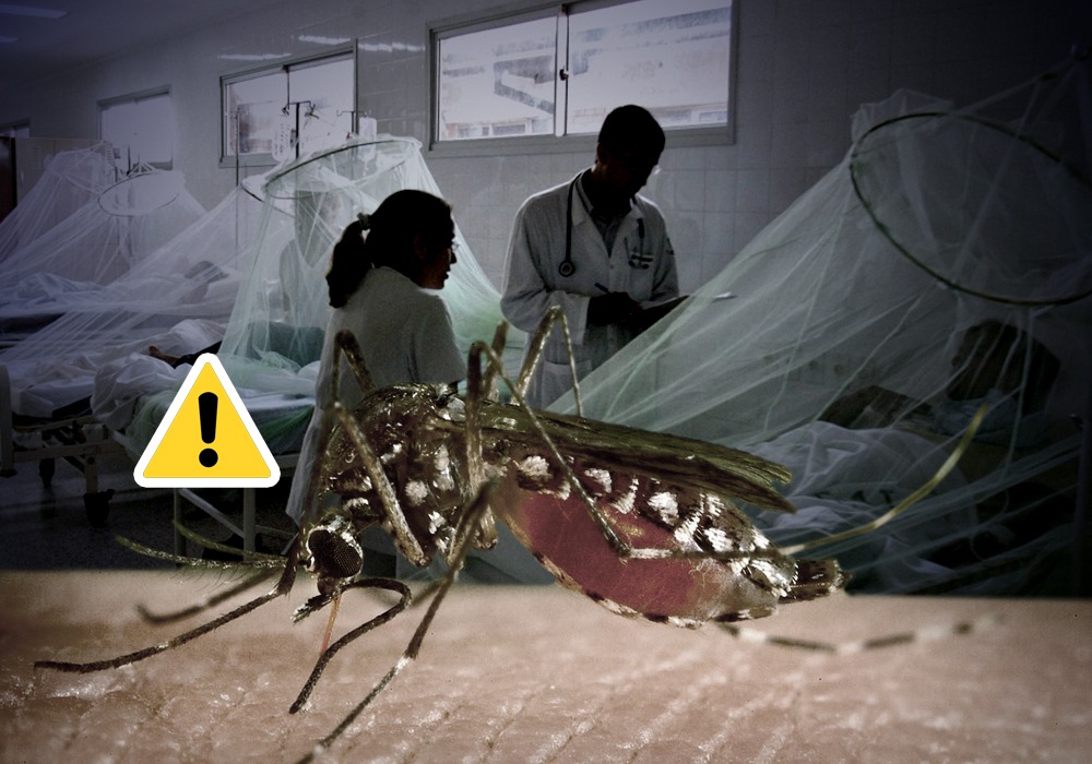 Junín: brote de dengue en plena cúspide de la tercera ola