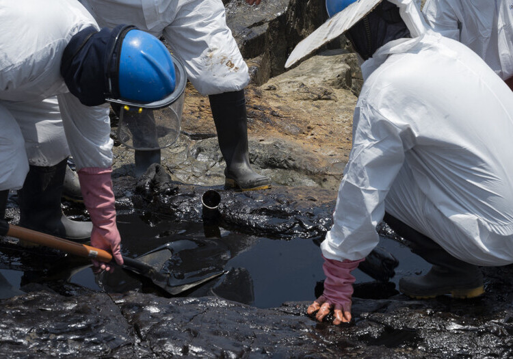 Biodiversidad marina afectada por derrame de petróleo en Ventanilla en Lima