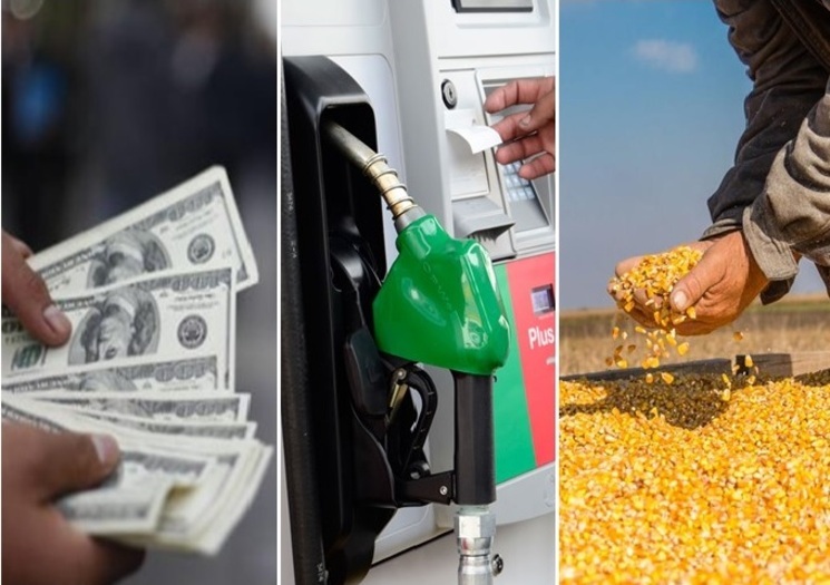Conflicto bélico causa subida del dólar y podría influir en precio de combustibles en Perú