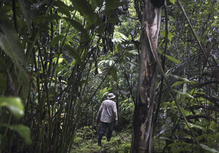 Asesinan defensor ambiental de Reserva Nacional Tambopata en Madre de Dios