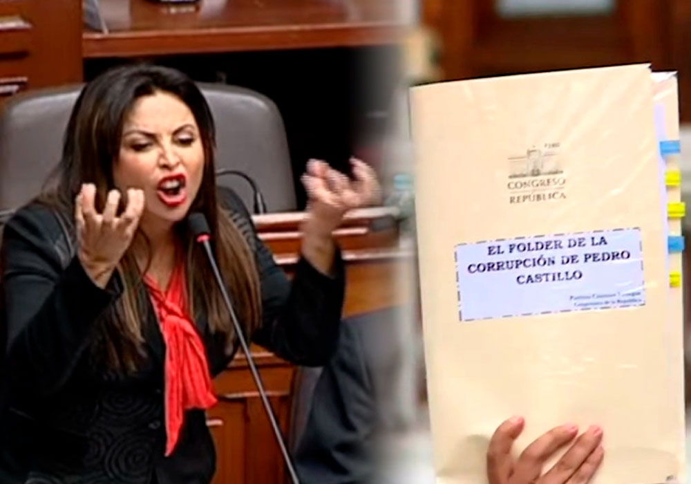 El ‘papelón’ de Patricia Chirinos frente a los miembros de la OEA (VIDEO)