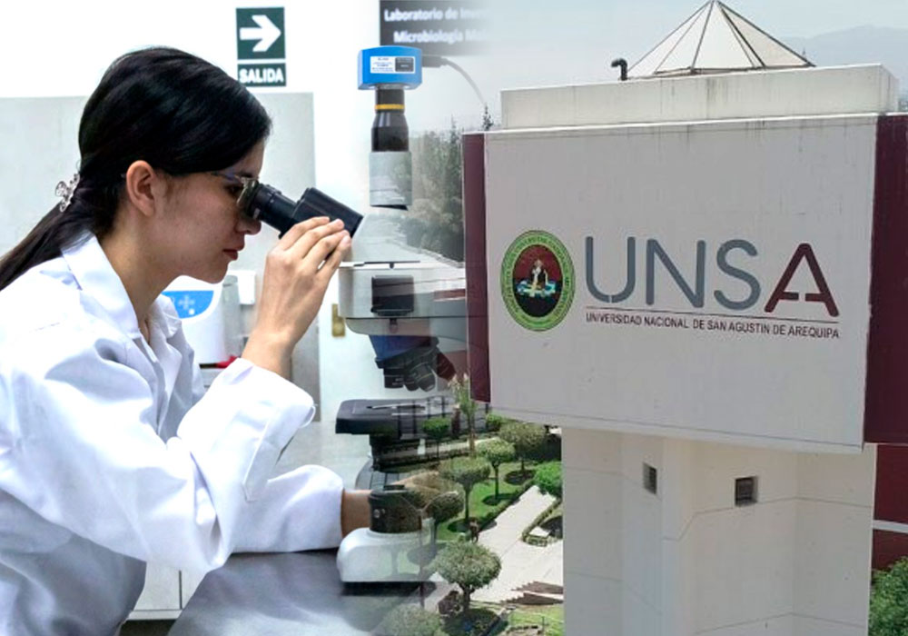La UNSA entre entre las diez universidades con más investigaciones científicas