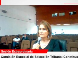 Luz Pacheco, aspirante el Tribunal Constitucional