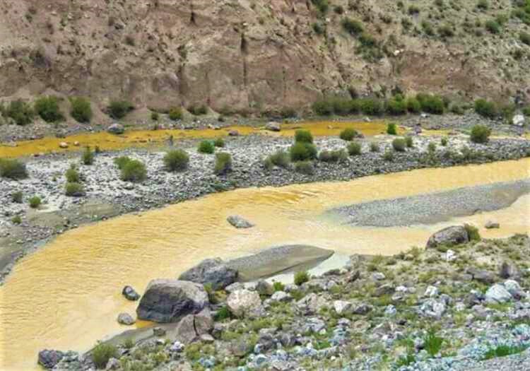 Arequipa: con cáscara de granadilla y troncos de lloque descontaminarán el agua de arsénico