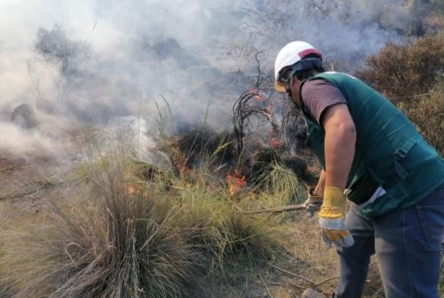 Arequipa: lograron controlar incendios en las faldas del volcán Misti