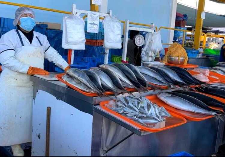 Arequipa: aquí precios de pescados y mariscos en mercados por Semana Santa