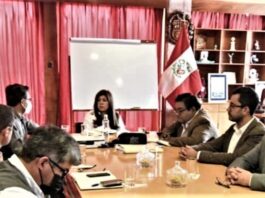 Edwin Martínez: Christian Nova es el Vladimir Cerrón de gobernadora de Arequipa
