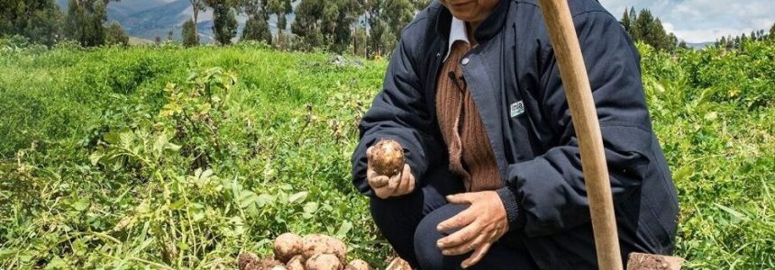 noemi-zuñiga-crisis-alimentaria