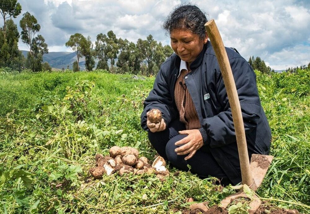 “En Perú tenemos una biodiversidad amplia que nos da seguridad alimentaria”, Noemí Zúñiga (VIDEO)