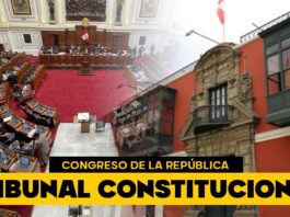 tribunal-constitucional-votacion-congreso