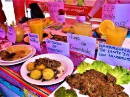 Arequipa: Santos Sabores este año presentará platos típicos de Islay y Caylloma