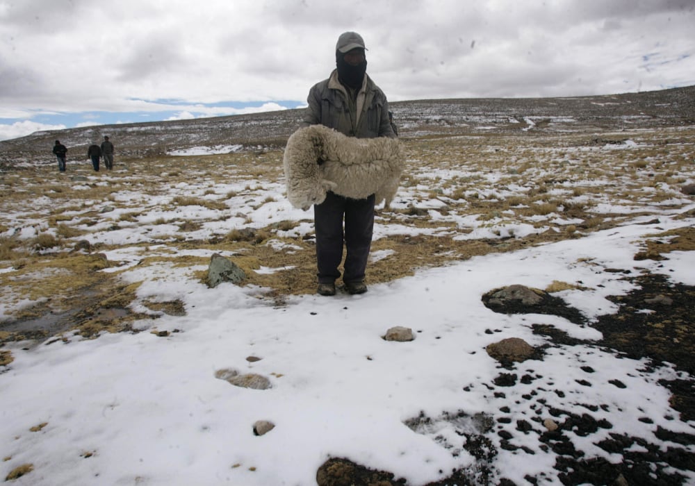 Arequipa: solo 6 distritos reciben apoyo del COER frente a heladas