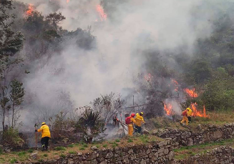 Incendio forestal en Machupicchu consumió 40 hectáreas en tres días (FOTOS)