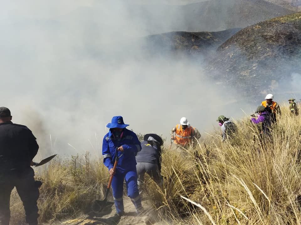 Incendio forestal en el Misti arrasó con 450 hectáreas de queñuales