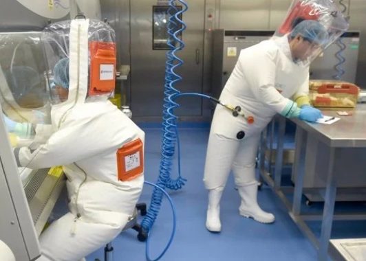 Detectan 35 personas contagiadas en China con nuevo virus Langya transmitido por animales