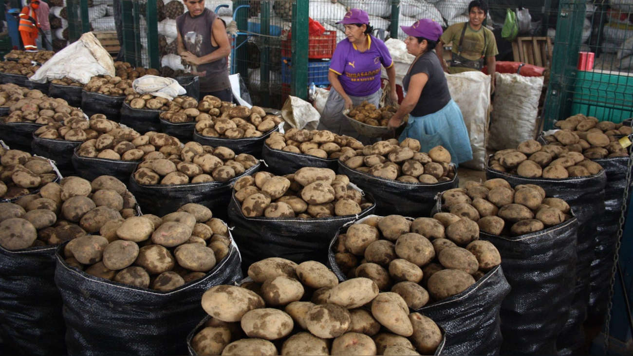 Producción de alimentos en Arequipa reducirá en 20% el próximo año
